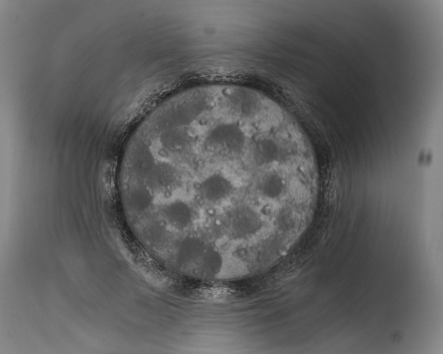 X0000114590695200911161332