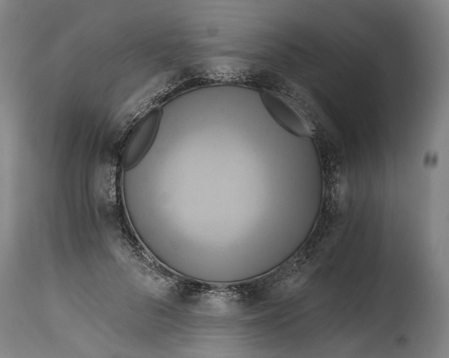 X0000114590696200911161332