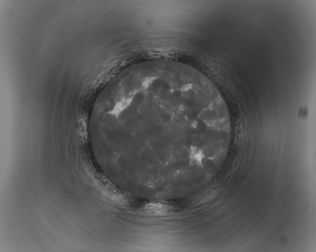 X0000114590699200911161332