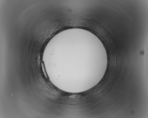 X0000114590700200911161332