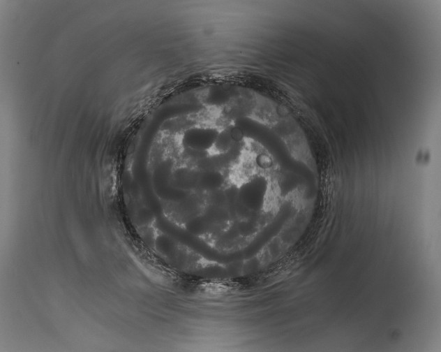 X0000114590703200911161331