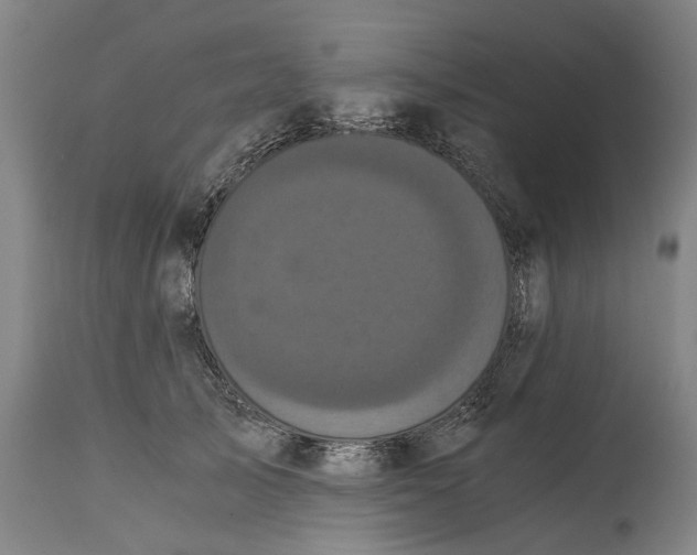 X0000114590705200911161331