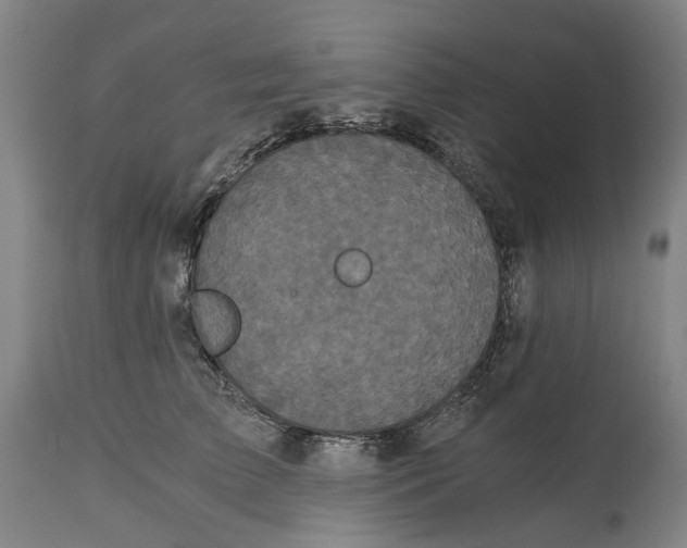 X0000114590709200911161331