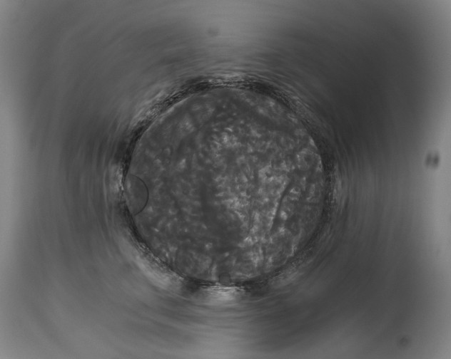 X0000114590711200911161331