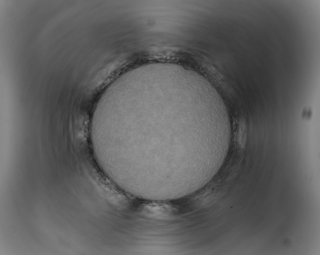 X0000114590712200911161331