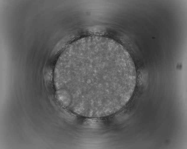 X0000114590713200911161331