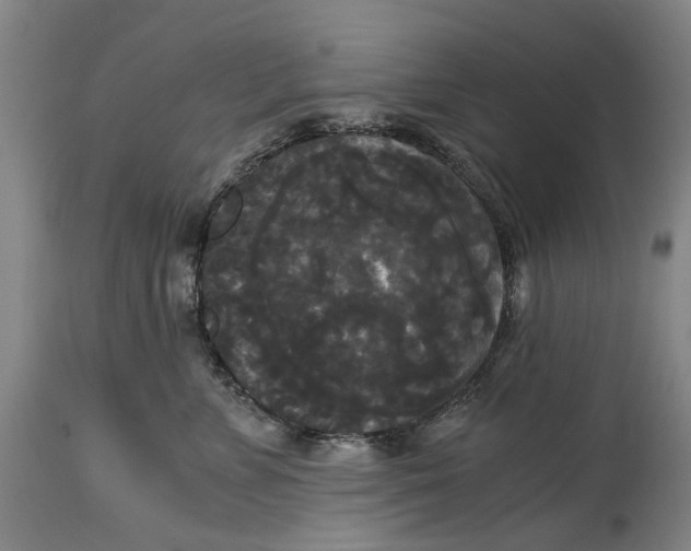 X0000114590715200911161331