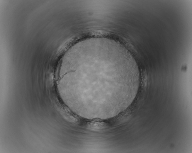 X0000114590716200911161331