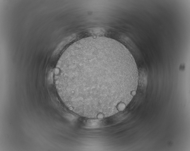 X0000114590717200911161331