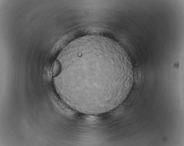 X0000114590718200911161331