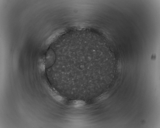 X0000114590719200911161331