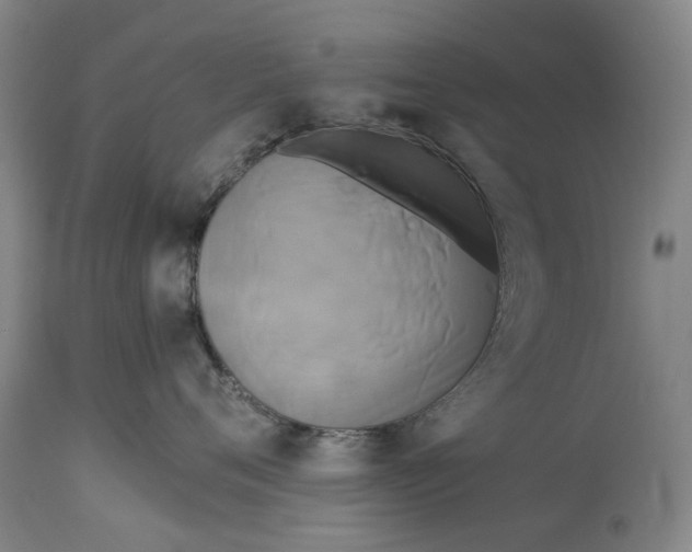 X0000114590720200911161331