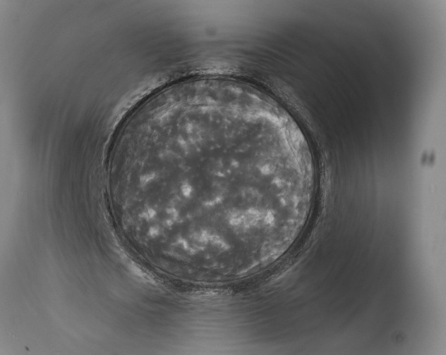 X0000114590721200911161330