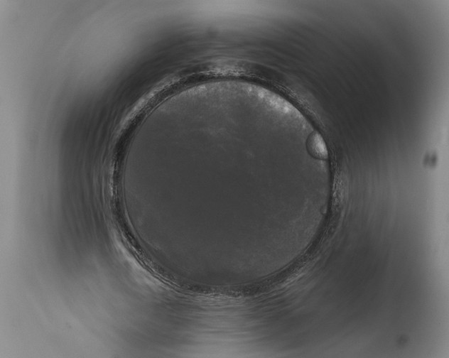 X0000114590722200911161330