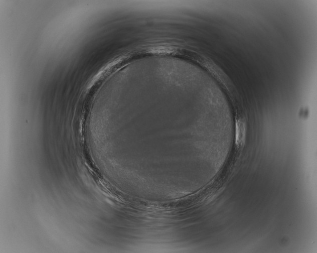 X0000114590723200911161330