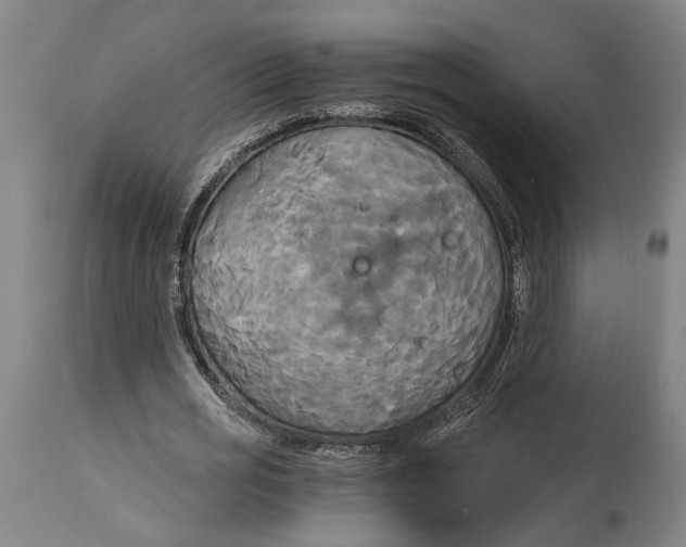 X0000114590725200911161330