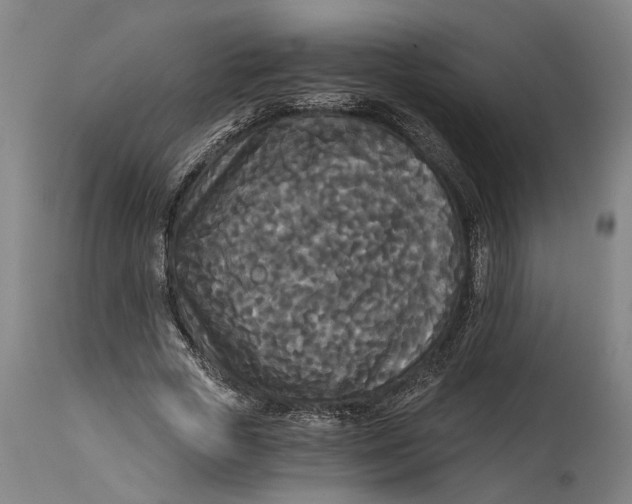 X0000114590729200911161331