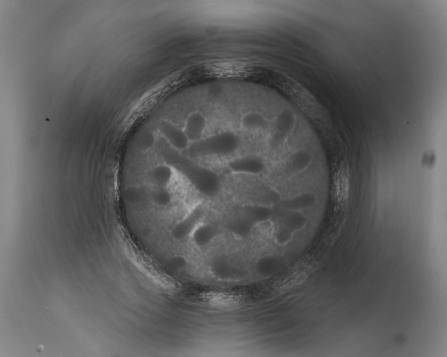 X0000114590733200911161331