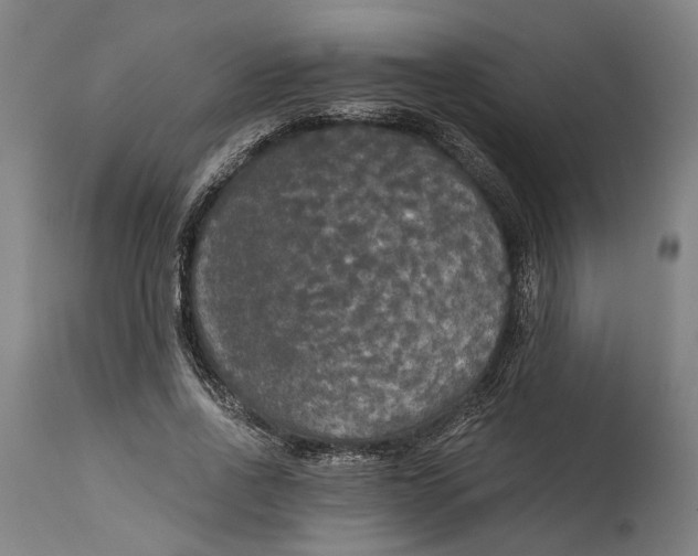 X0000114590734200911161331