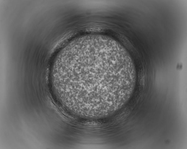 X0000114590735200911161331