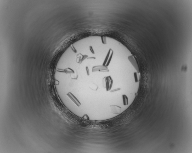 X0000114590738200911161331