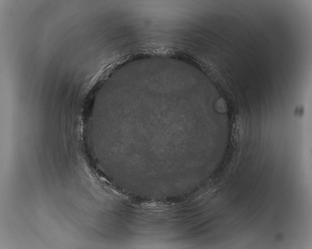 X0000114590739200911161331