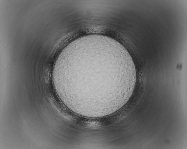 X0000114590741200911161331