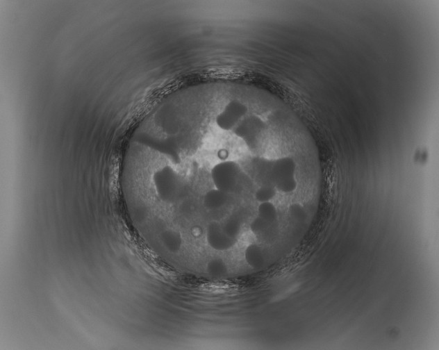 X0000114590745200911161331