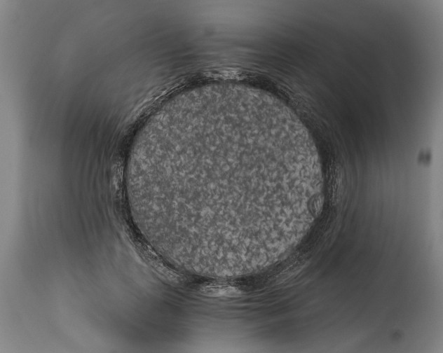 X0000114590747200911161331