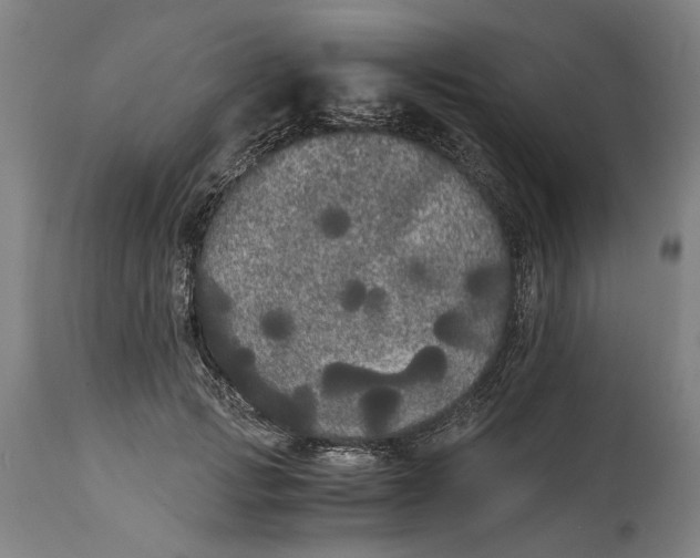 X0000114590749200911161331