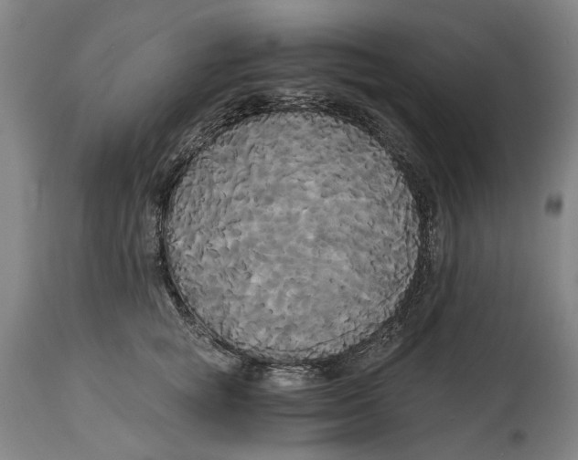 X0000114590757200911161331