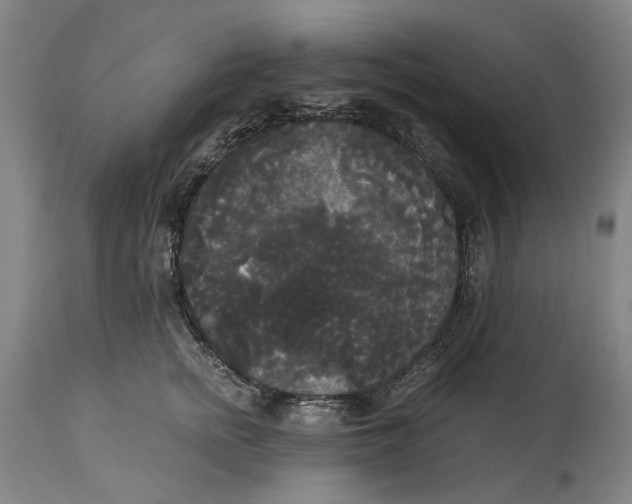 X0000114590758200911161331