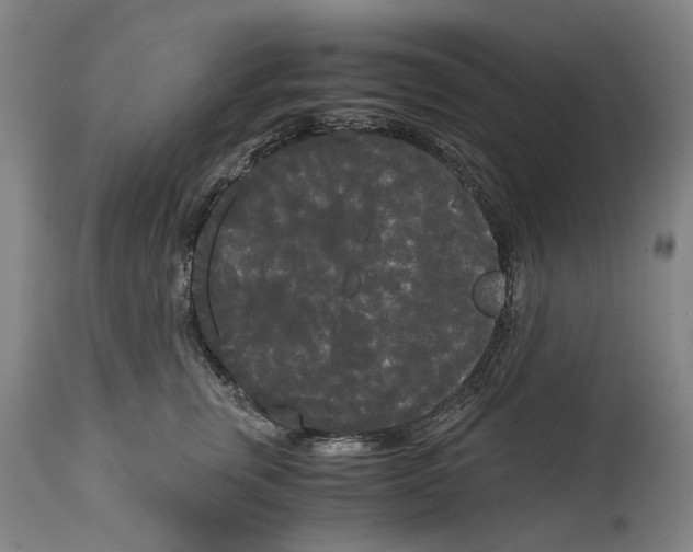 X0000114590759200911161331