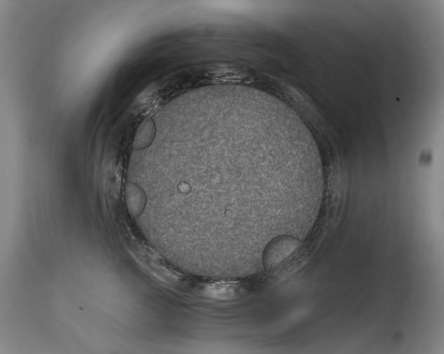 X0000114590761200911161331