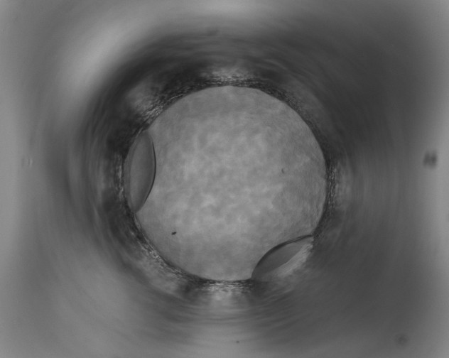 X0000114590762200911161331