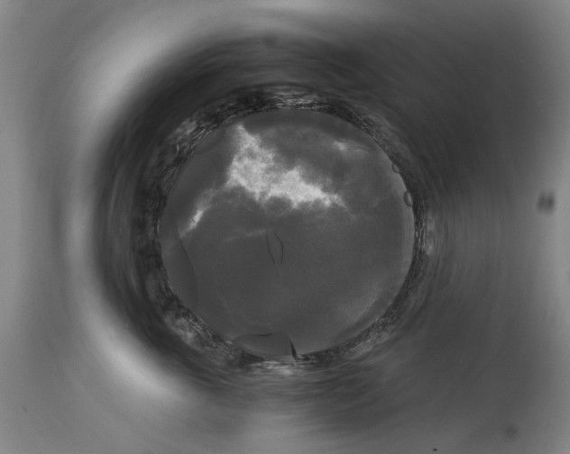 X0000114590763200911161331