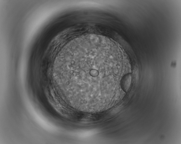 X0000114590765200911161331