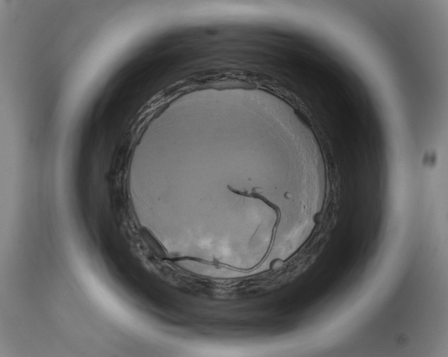 X0000114590766200911161331