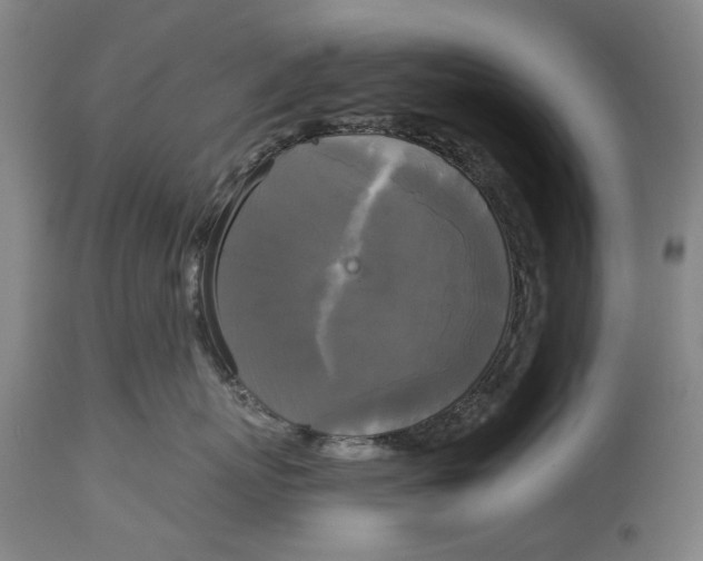 X0000114590767200911161331