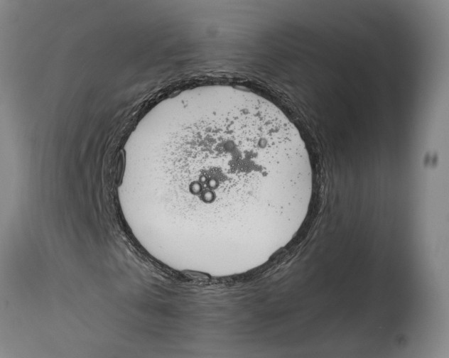 X0000114590769200911161330