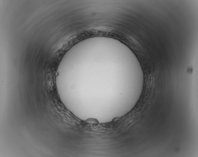 X0000114590774200911161330