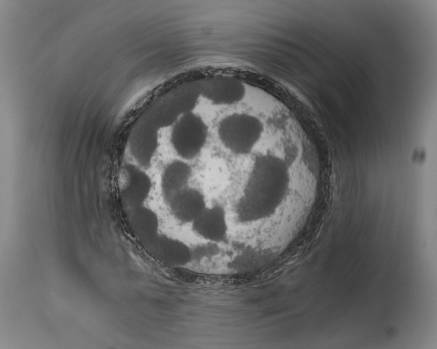 X0000114590775200911161330