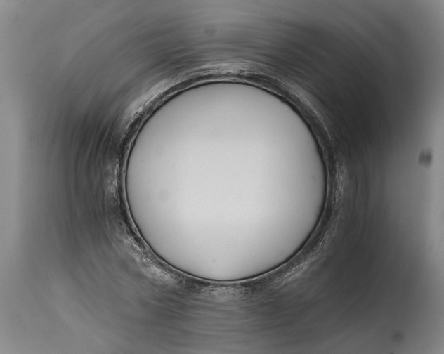 X0000114590778200911161330