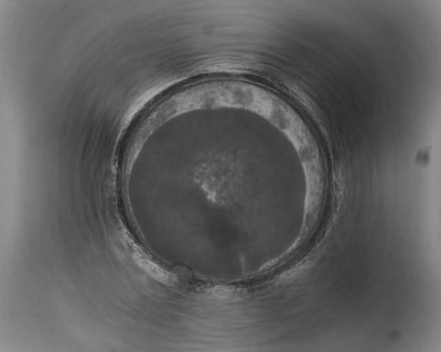 X0000114590779200911161330