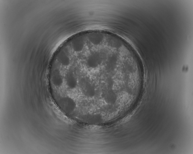 X0000114590783200911161330