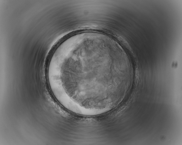 X0000114590784200911161330