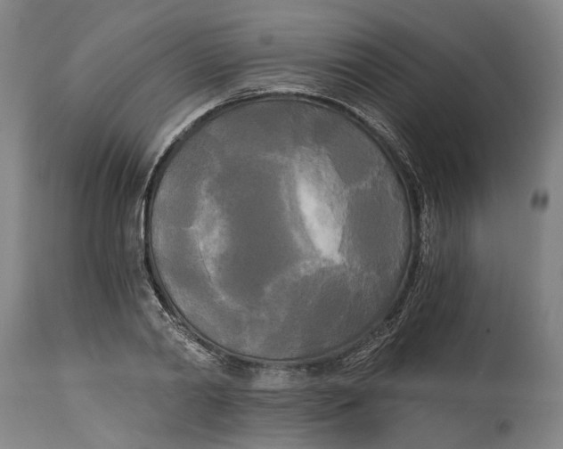 X0000114590790200911161330