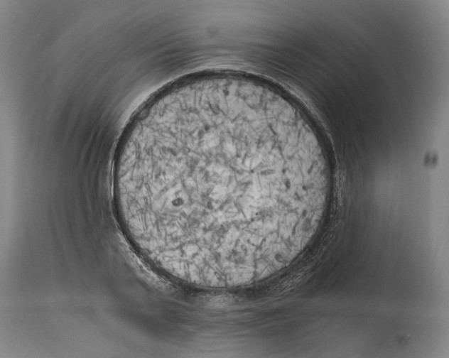 X0000114590791200911161330