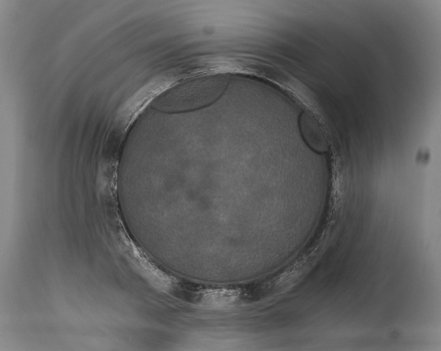 X0000114590793200911161330