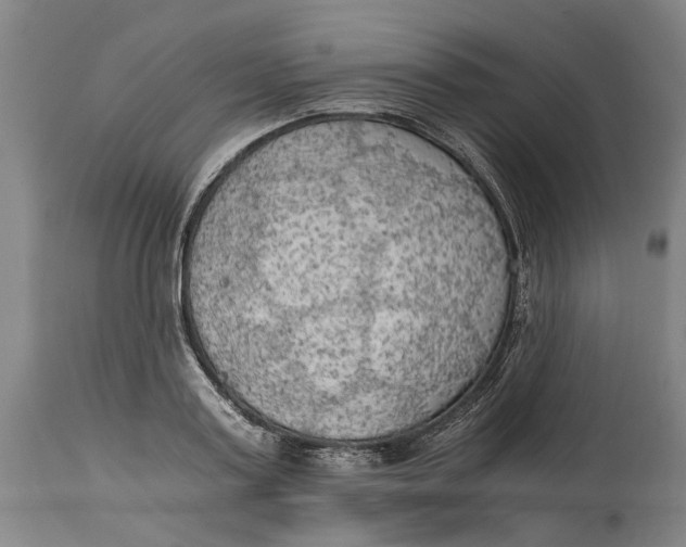 X0000114590795200911161330